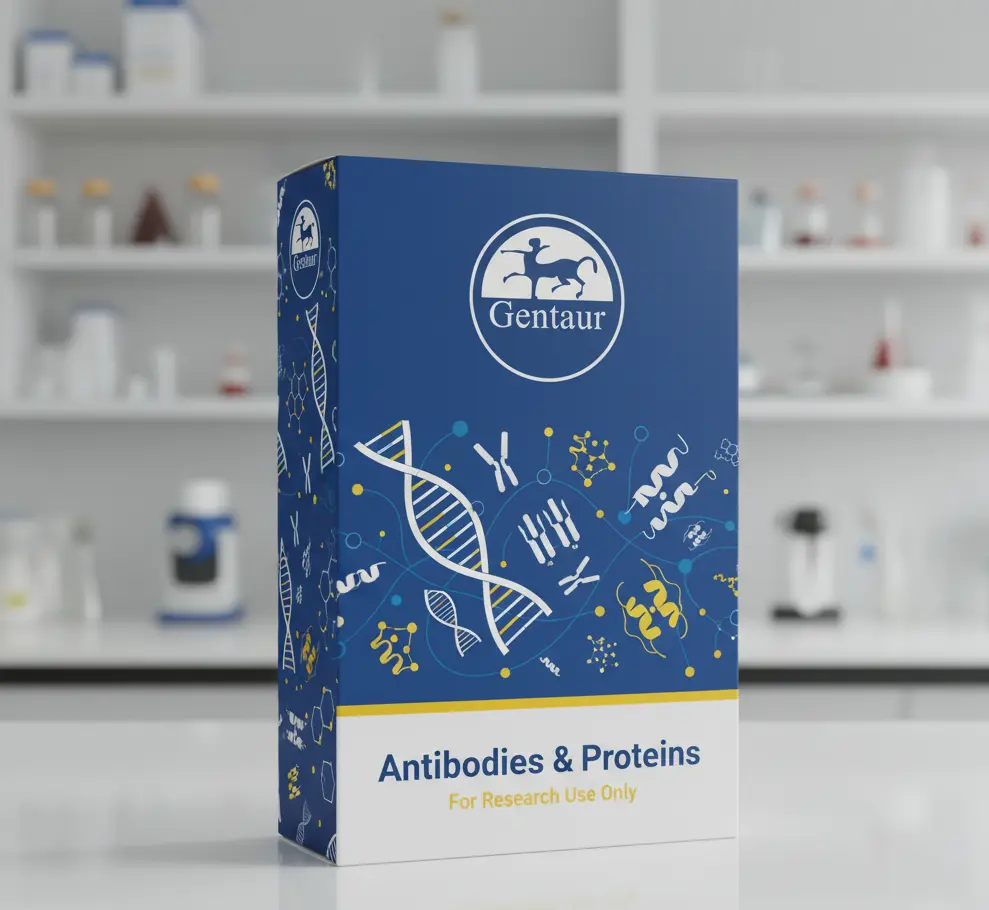 SULF1 Antibody, 0.2 mL