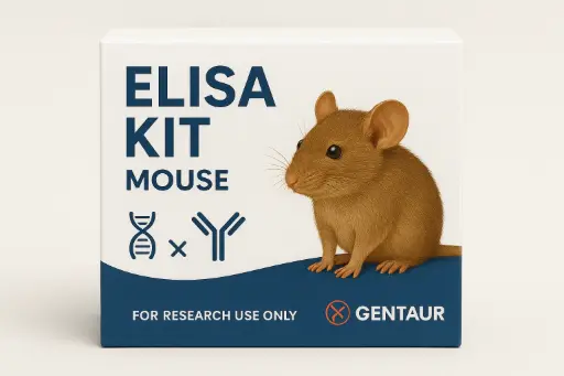 Mouse Saxo2 ELISA Kit