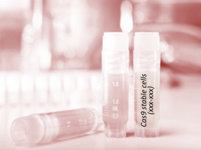 Cas9 Stable Cell Line (Saos-2)