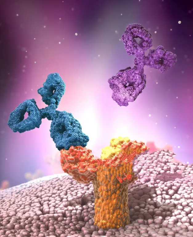 Polyclonal Antibody to Amyloid Beta Peptide 1 40 [Ab1 40], 100 ul [0.5mg/ml]